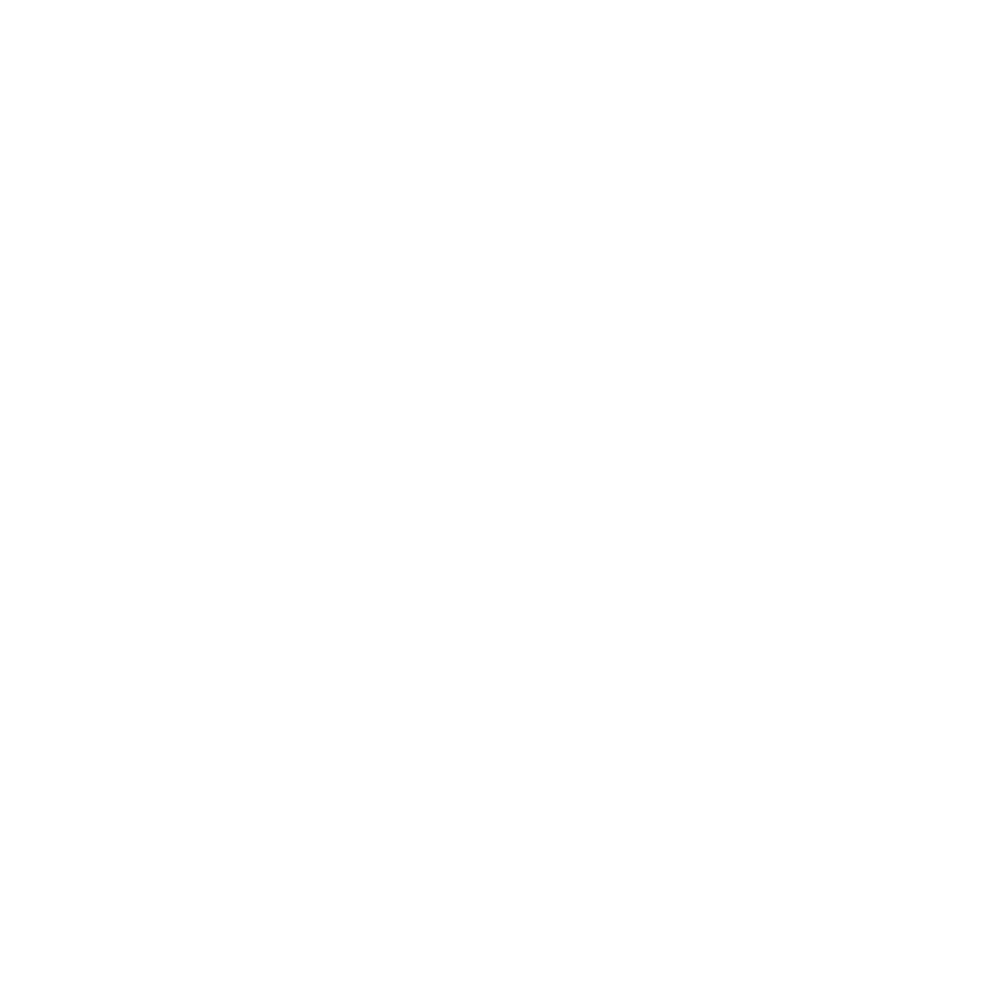 Báo Đen Logistics